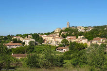 Load image into Gallery viewer, Amazing Villa at Provence , 1/6 ownership