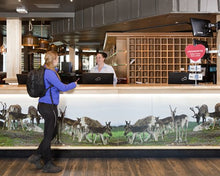 Load image into Gallery viewer, Holiday Club Saariselkä